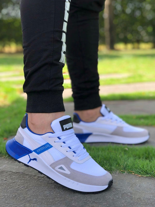 Puma de Caballero