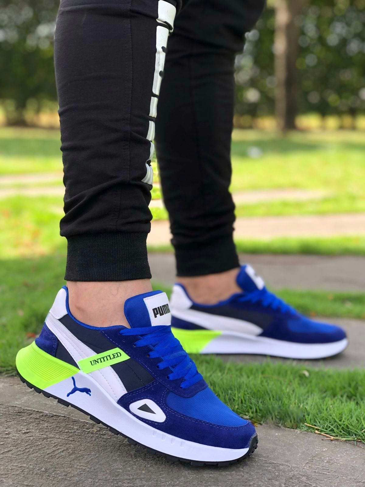 Puma de Caballero