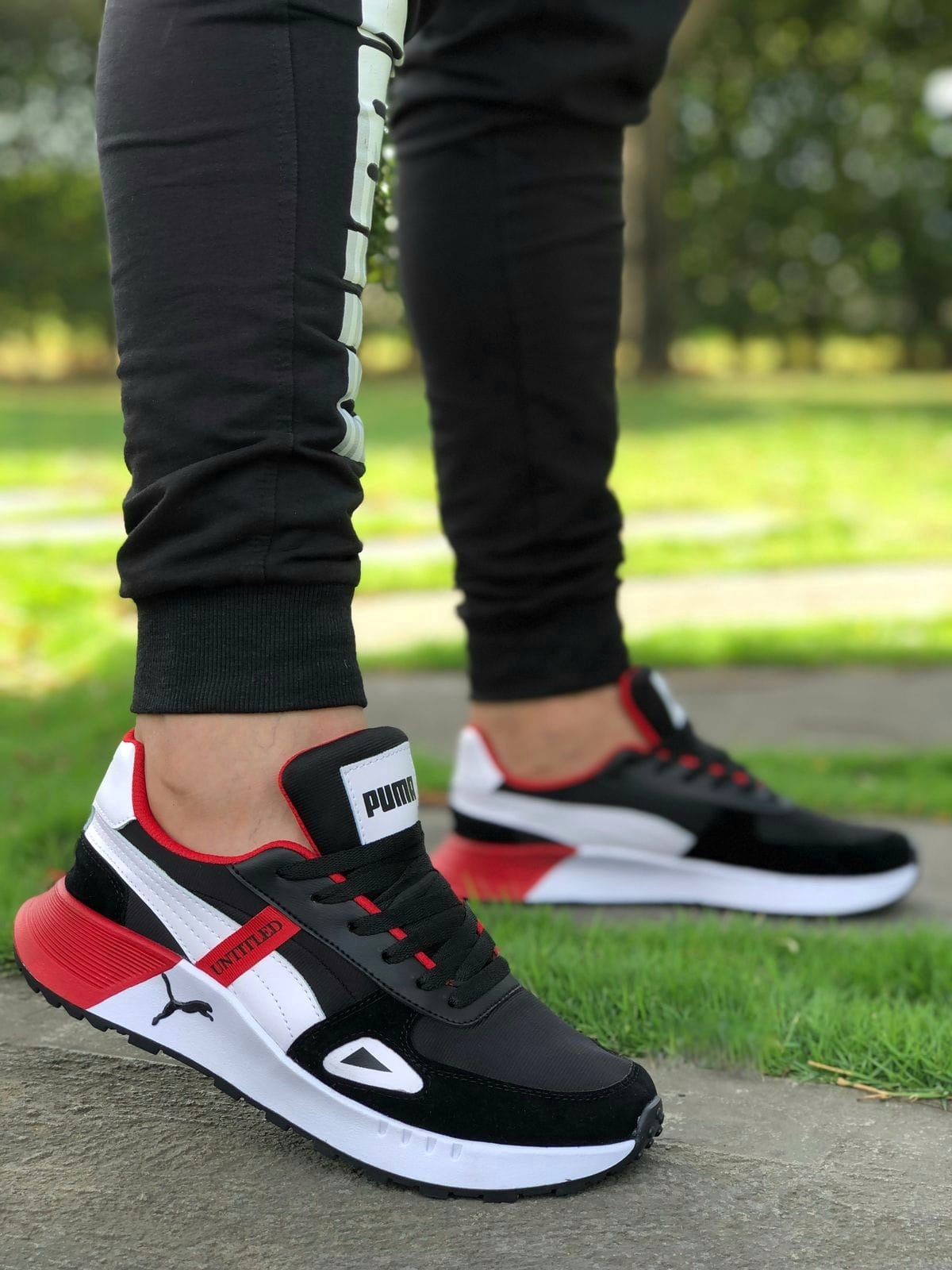 Puma de Caballero