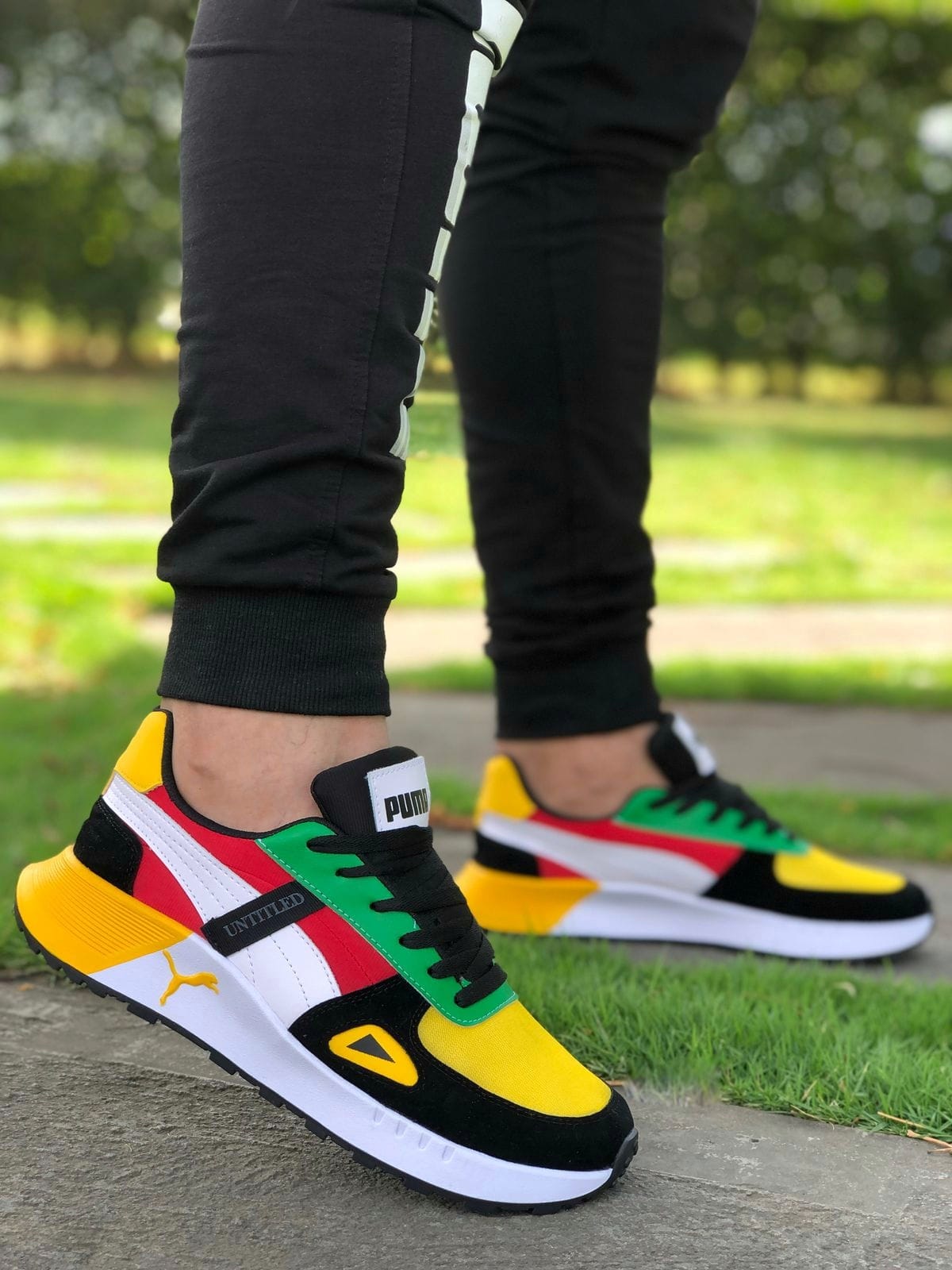 Puma de Caballero